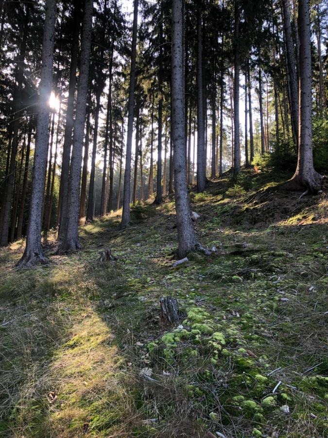 Chata Prachov**** Jičín Exterior foto